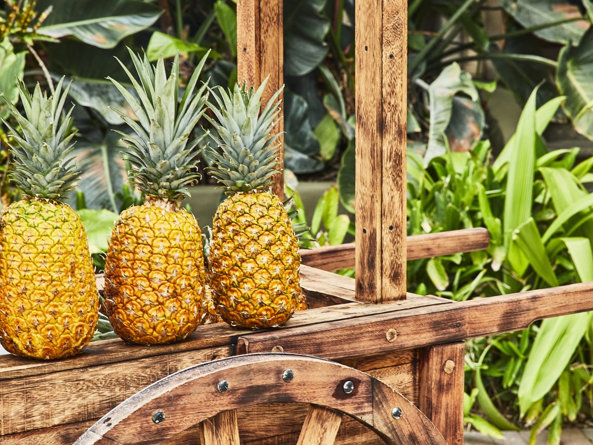 stcostarica-stcollection-luxury-travel-mountain-hotel