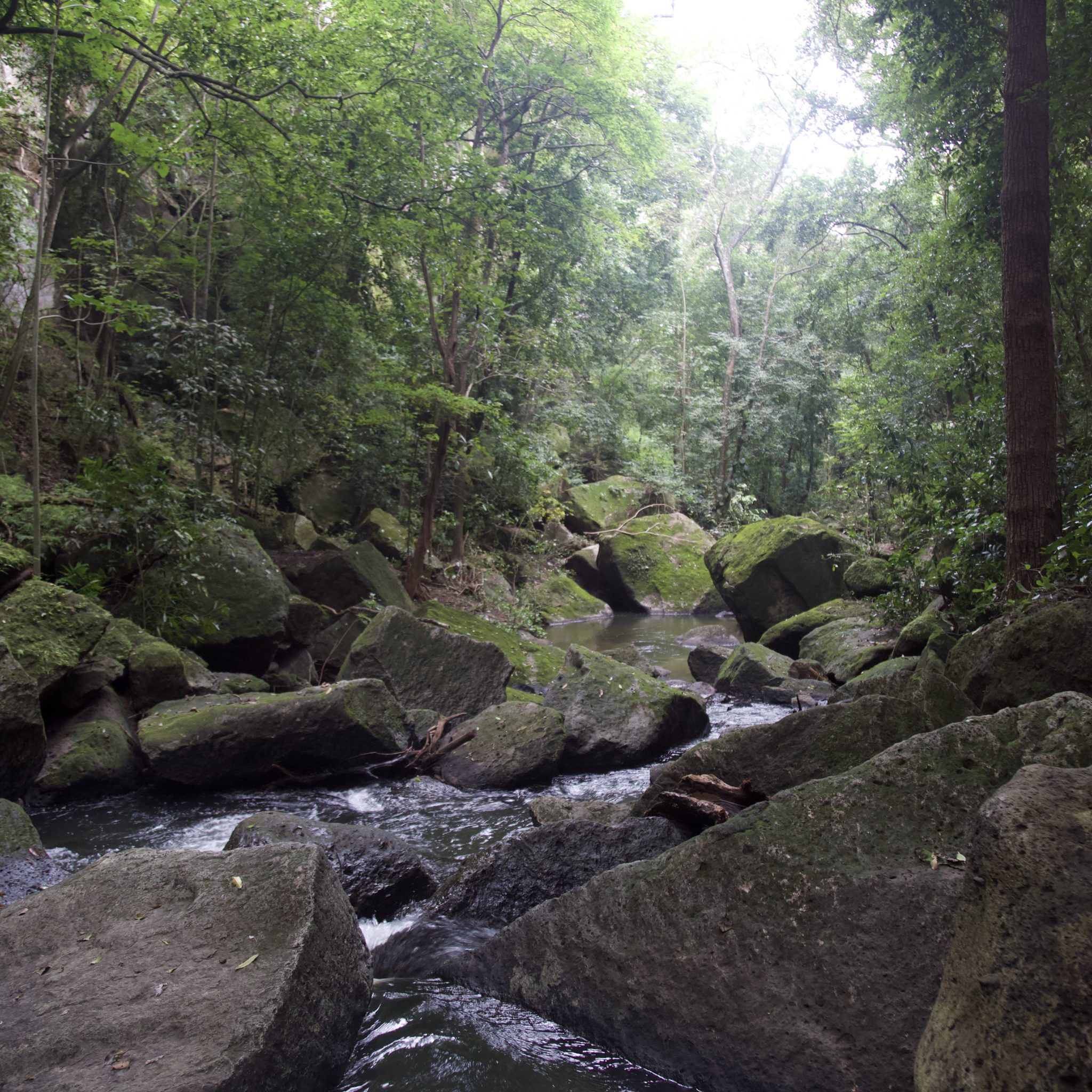 Discover the Hidden Gem of Guanacaste: Rio Perdido