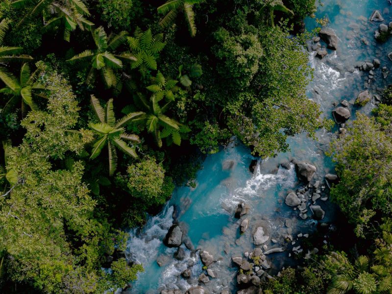 Magical Celeste River & Rainforest Hanging Bridges