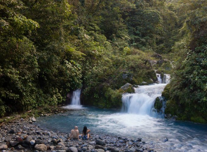 Rainforest Senses Hike