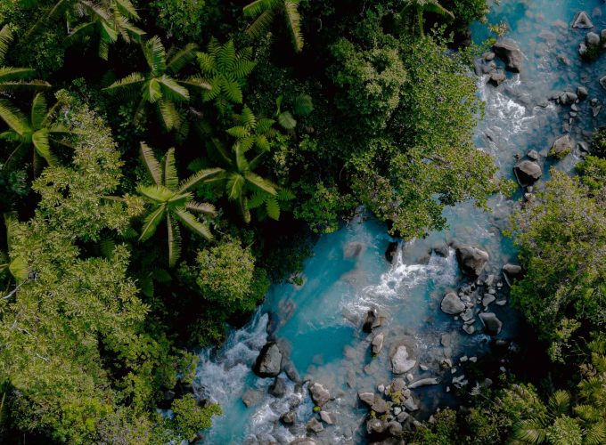 Magical Celeste River & Rainforest Hanging Bridges