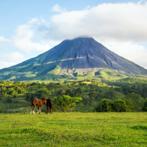 Tours de un día en Costa Rica”