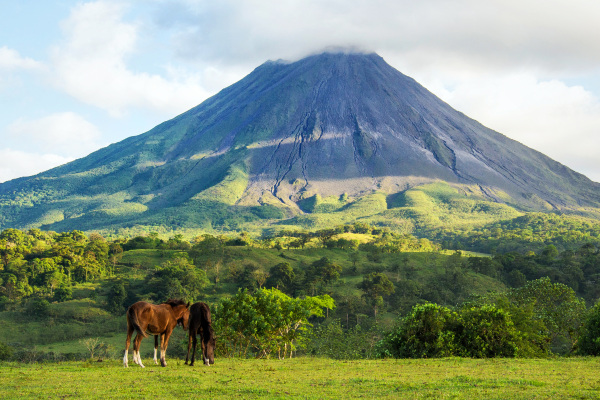 Tours de un día en Costa Rica”