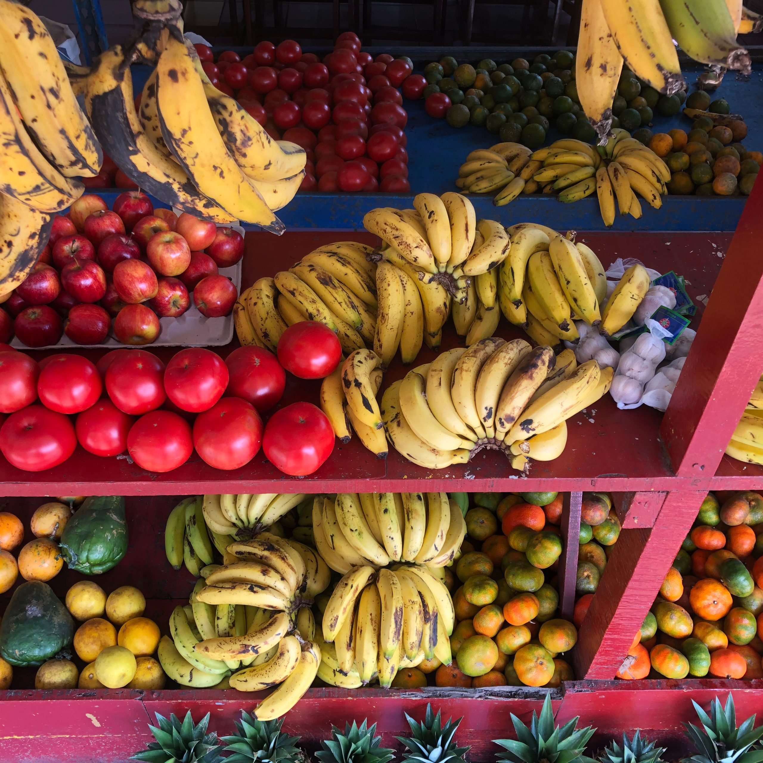 Fresh Caribbean ingredients in Costa Rica
